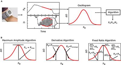 Formulas to Explain Popular Oscillometric Blood Pressure Estimation Algorithms